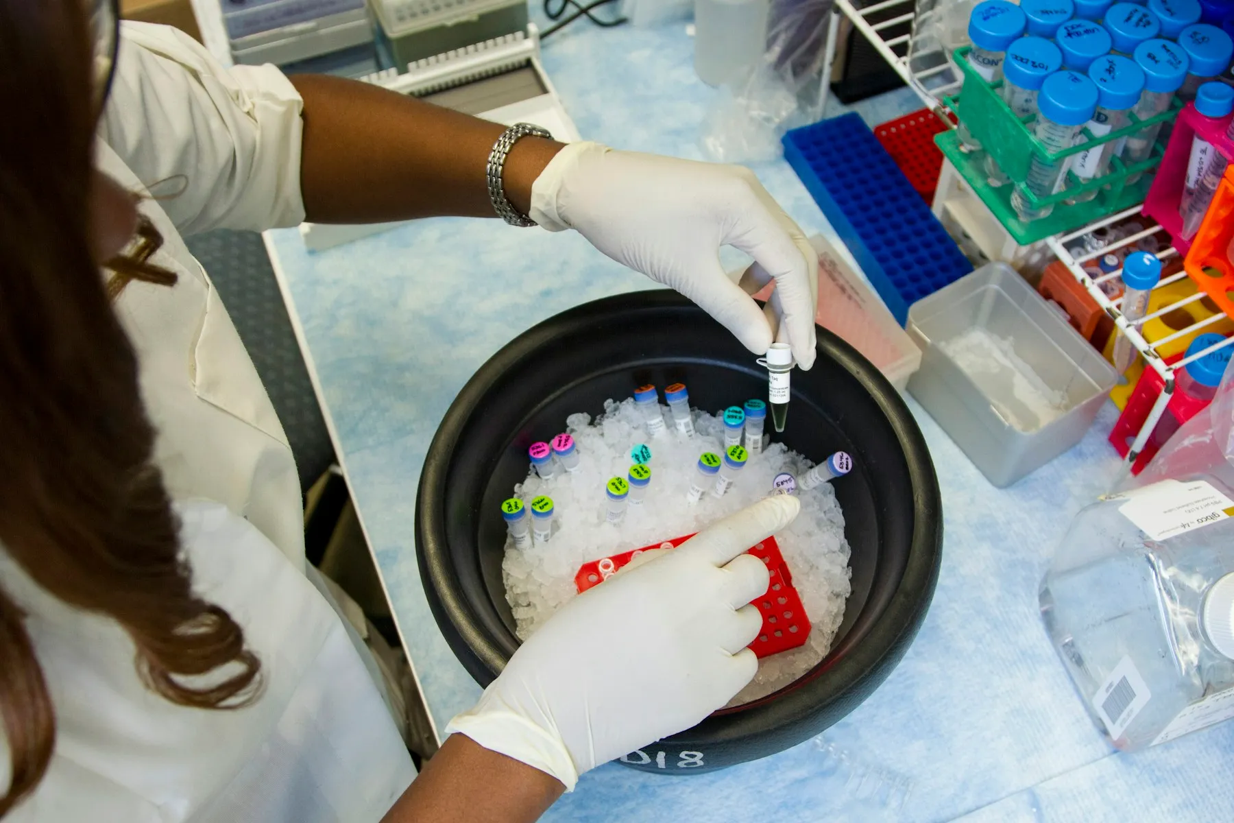 A laboratory researcher organising labelled samples at a workbench.